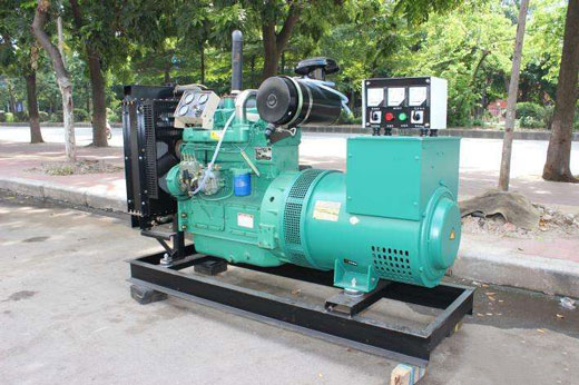 阜龙乡发电机不发电的原因